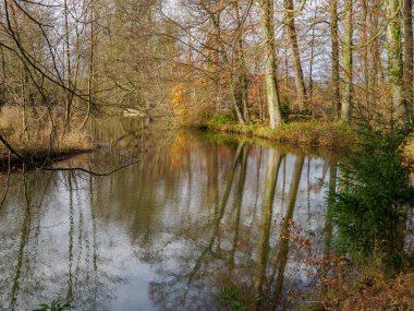 Alman muensterland 'inde Legden yakınlarında sonbahar zamanı