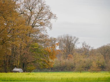 Alman muensterland 'inde Legden yakınlarında sonbahar zamanı