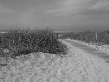 Alman Kuzey Denizi 'nde İlsland