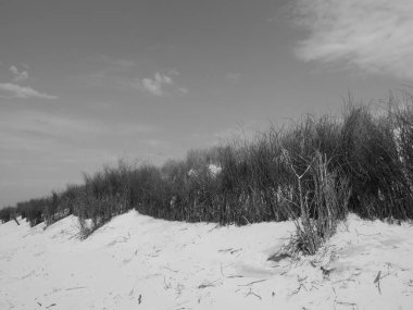 Alman Kuzey Denizi 'nde İlsland