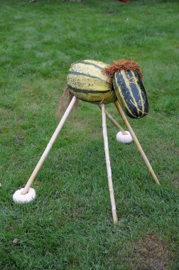 Alman Bahçe kabaklar