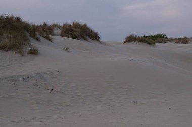 Almanya 'da Borkum Adası