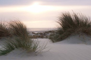 Juist ve Borkum Alman kuzey denizinde