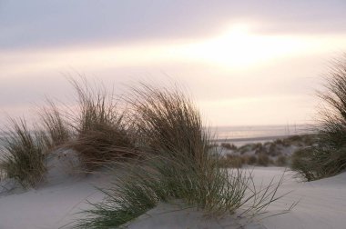Juist ve Borkum Alman kuzey denizinde