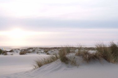 Juist ve Borkum Alman kuzey denizinde