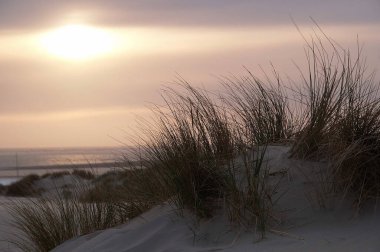 Juist ve Borkum Alman kuzey denizinde