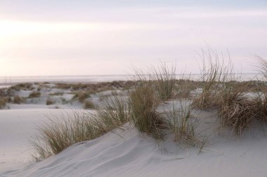 Juist ve Borkum Alman kuzey denizinde