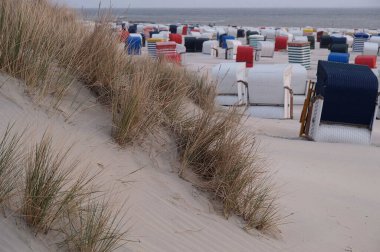 Juist ve Borkum Alman kuzey denizinde
