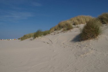 Juist ve Borkum Alman kuzey denizinde