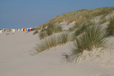 Juist ve Borkum Alman kuzey denizinde