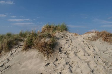 Almanya 'da Kuzey Denizi' nde yaz mevsimi