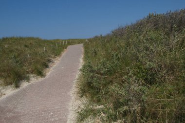 Almanya 'da Kuzey Denizi' nde yaz mevsimi