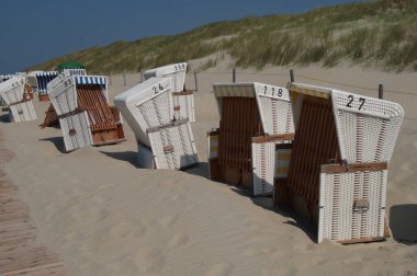 Almanya 'da Kuzey Denizi' nde yaz mevsimi