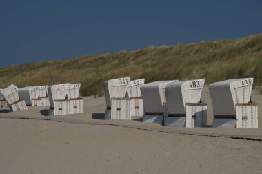 Almanya 'da Kuzey Denizi' nde yaz mevsimi