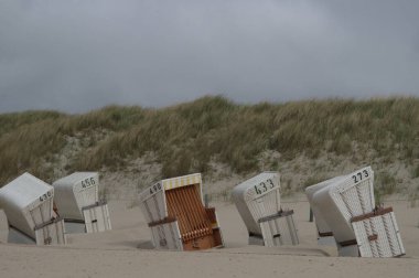 Almanya 'da Kuzey Denizi' nde yaz mevsimi