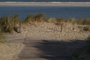 Almanya 'da Kuzey Denizi' nde yaz mevsimi