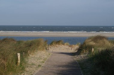 Almanya 'da Kuzey Denizi' nde yaz mevsimi