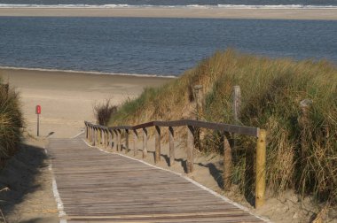 Almanya 'da Kuzey Denizi' nde yaz mevsimi