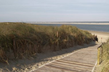 Almanya 'da Kuzey Denizi' nde yaz mevsimi