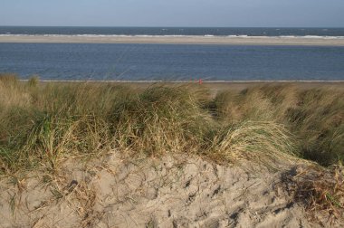 Almanya 'da Kuzey Denizi' nde yaz mevsimi