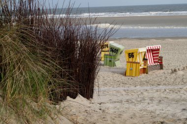 Kuzey Denizi Langeoog Adası