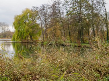 Vreden şehrinde sonbahar zamanı