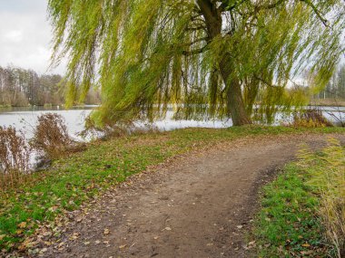 Vreden şehrinde sonbahar zamanı