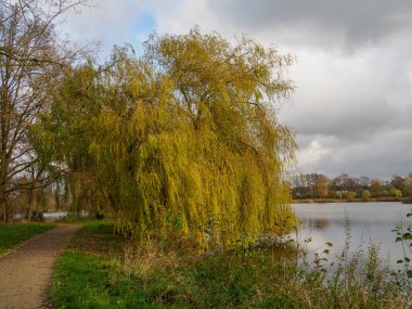 Vreden şehrinde sonbahar zamanı