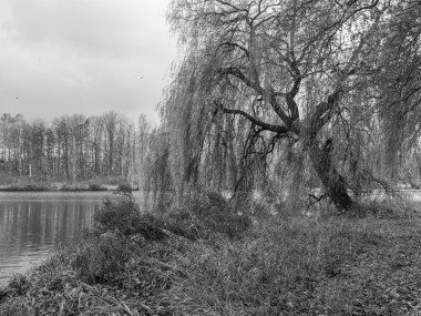 Alman Muensterland 'inin Vreden şehri