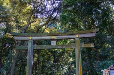 Tokyo ve Fuji Dağı sonbahar zamanı