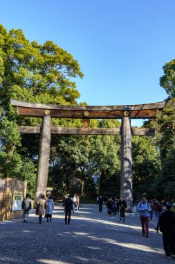 Tokyo ve Fuji Dağı sonbahar zamanı