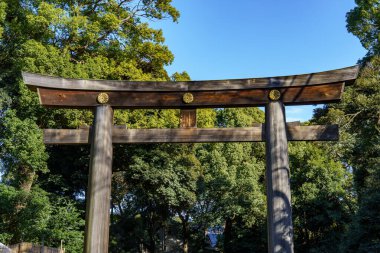 Tokyo ve Fuji Dağı sonbahar zamanı