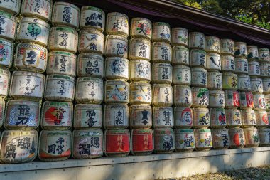 Tokyo ve Fuji Dağı sonbahar zamanı