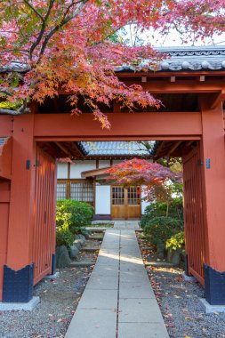 Tokyo ve Fuji Dağı sonbahar zamanı