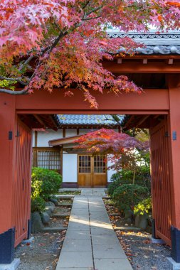 Tokyo ve Fuji Dağı sonbahar zamanı