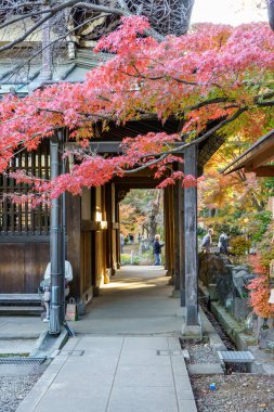 Tokyo ve Fuji Dağı sonbahar zamanı