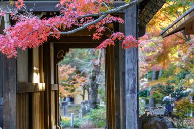 Tokyo ve Fuji Dağı sonbahar zamanı