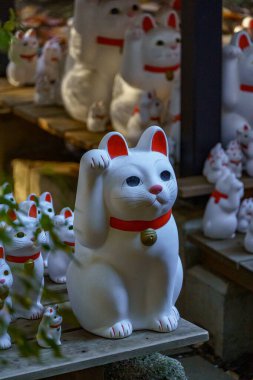 Tokyo ve Fuji Dağı sonbahar zamanı