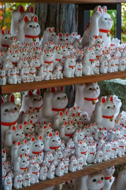 Tokyo ve Fuji Dağı sonbahar zamanı