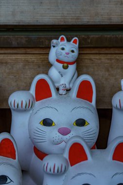 Tokyo ve Fuji Dağı sonbahar zamanı