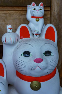 Tokyo ve Fuji Dağı sonbahar zamanı