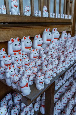 Tokyo şehrinde sonbahar zamanı