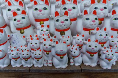 Tokyo şehrinde sonbahar zamanı