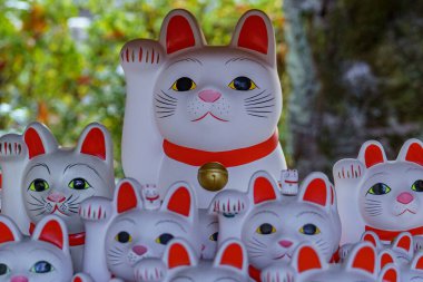 Tokyo şehrinde sonbahar zamanı