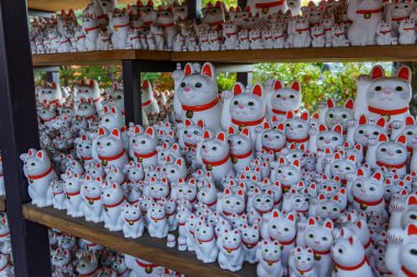 Tokyo şehrinde sonbahar zamanı