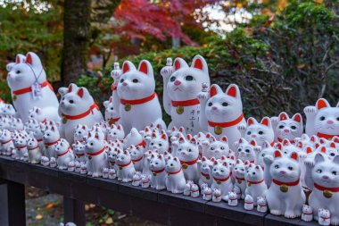 Tokyo şehrinde sonbahar zamanı