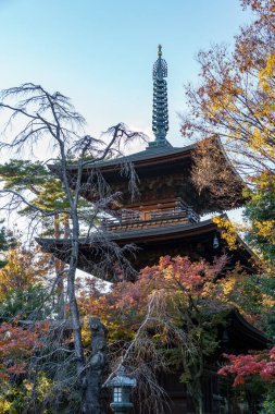 Tokyo şehrinde sonbahar zamanı