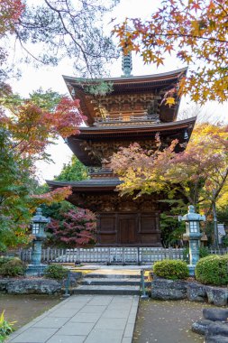 Tokyo şehrinde sonbahar zamanı