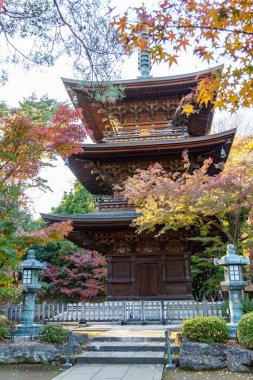 Tokyo şehrinde sonbahar zamanı