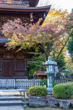 Tokyo şehrinde sonbahar zamanı